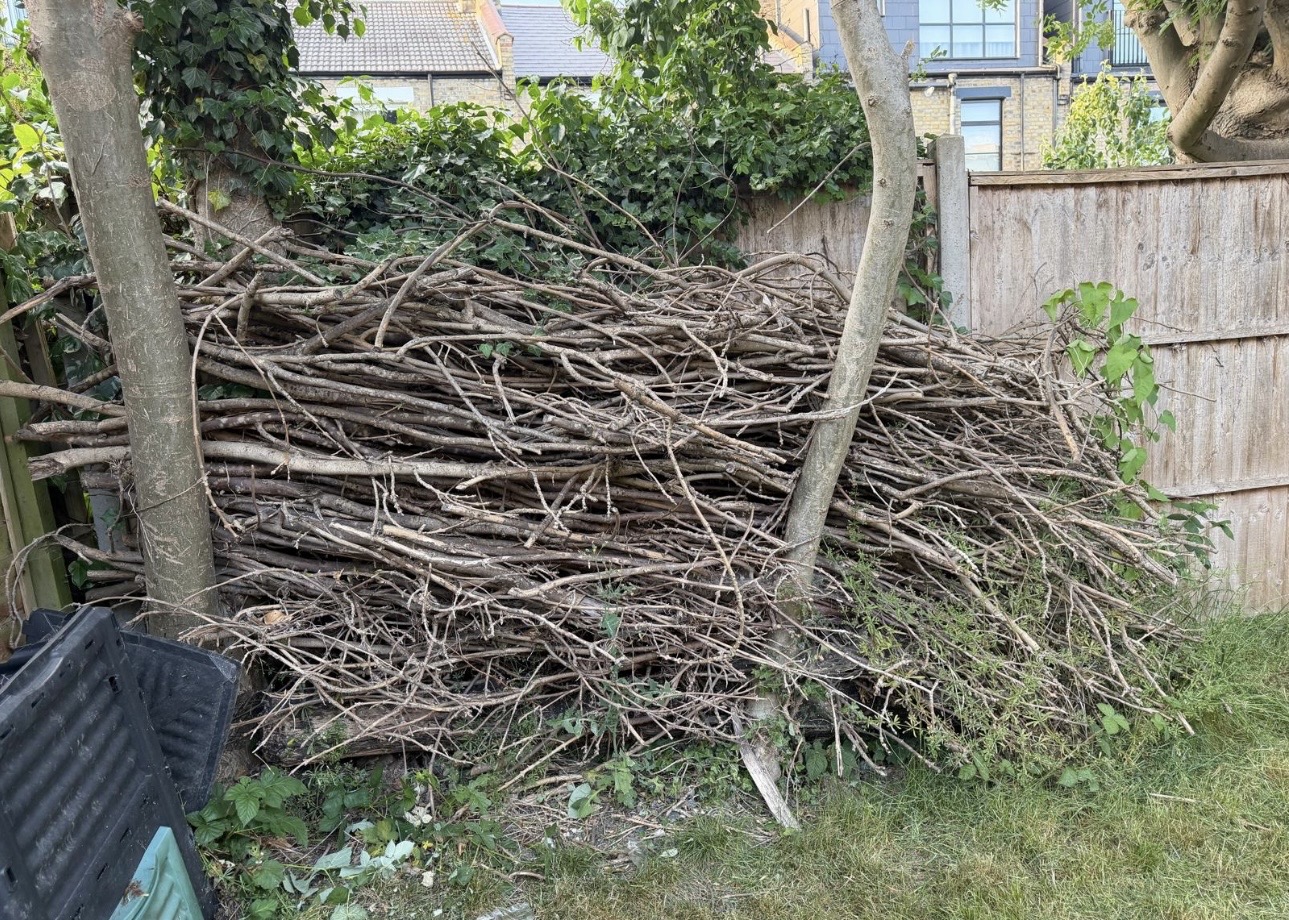 Large pile of garden waste and branches cleared